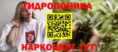 эйфоретик Брянск