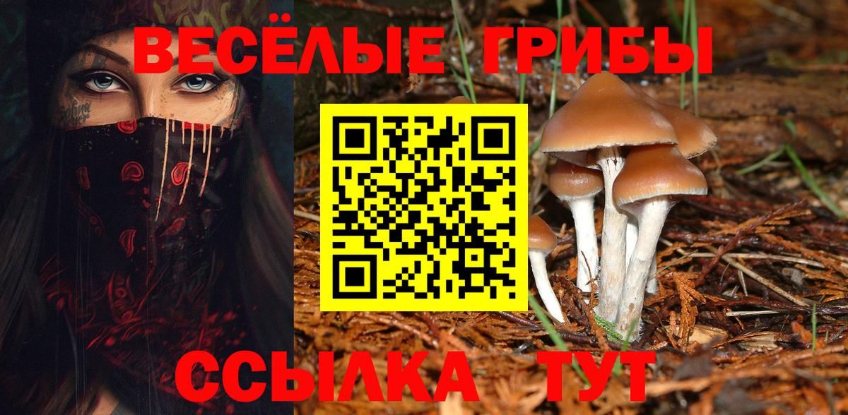 Псилоцибиновые грибы прущие грибы  Псилоцибиновые грибы Magic Shrooms  Вход с VPN  Новоуральск 